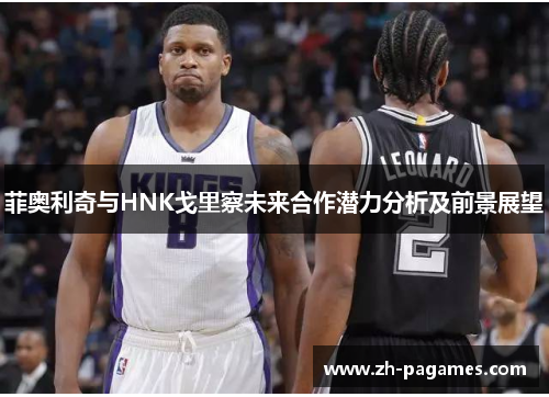 菲奥利奇与HNK戈里察未来合作潜力分析及前景展望