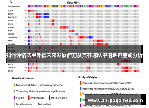 如何评估法甲外援未来发展潜力及其在球队中的地位变动分析
