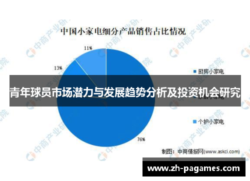 青年球员市场潜力与发展趋势分析及投资机会研究